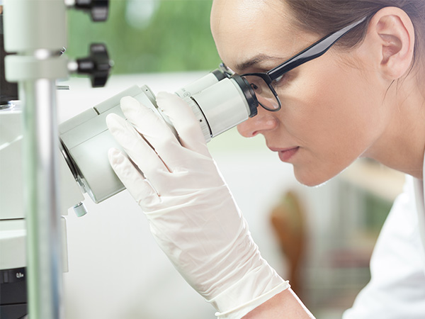 primacel-quality-assurance-2 primacel-quality-assurance-2